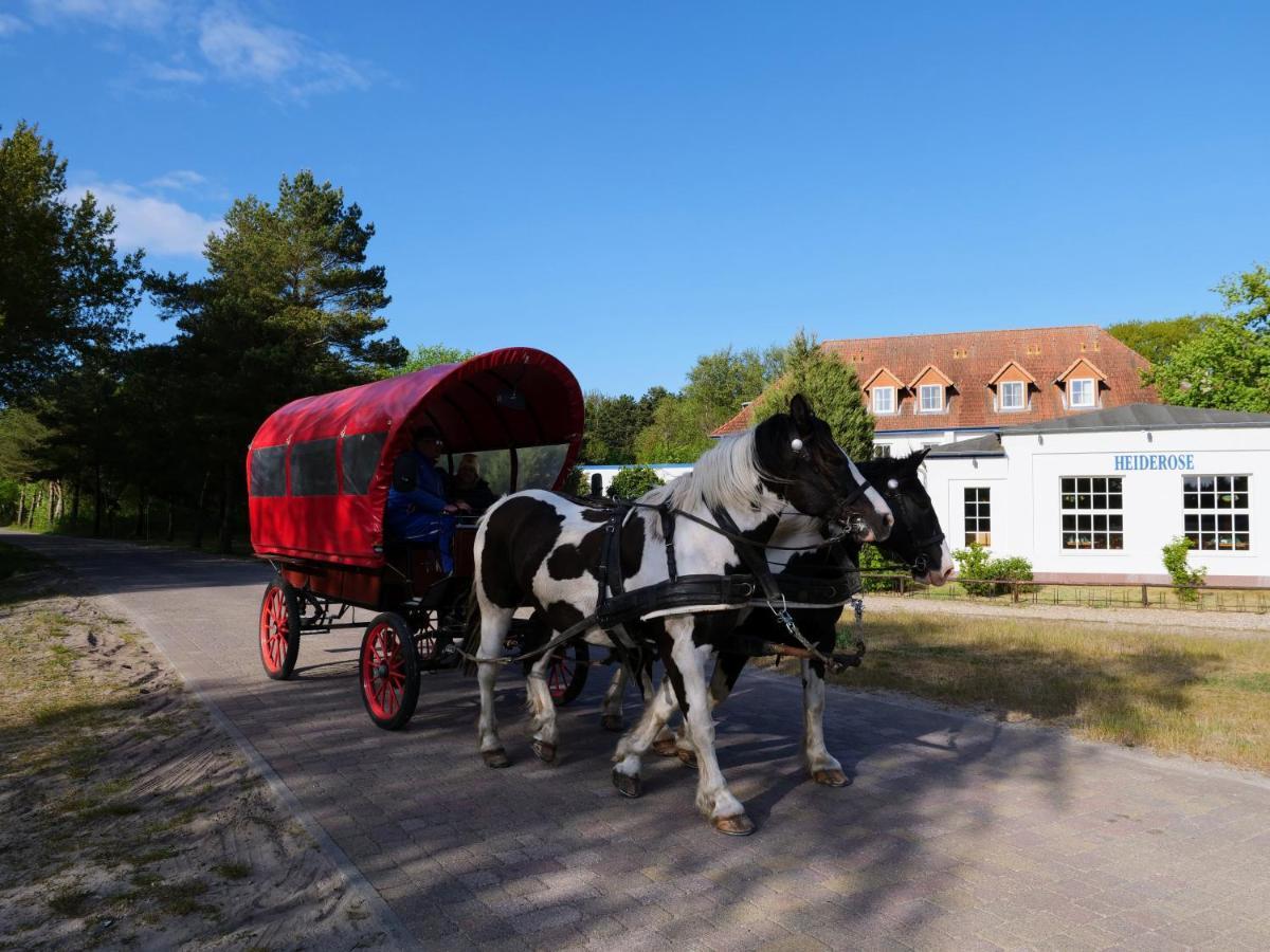 Hotel Heiderose Hiddensee Neuendorf  Buitenkant foto